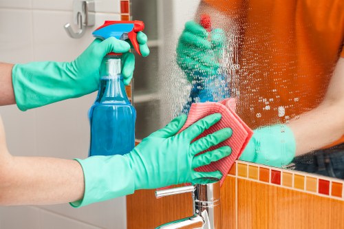 Professional window cleaning improving a bright residential exterior