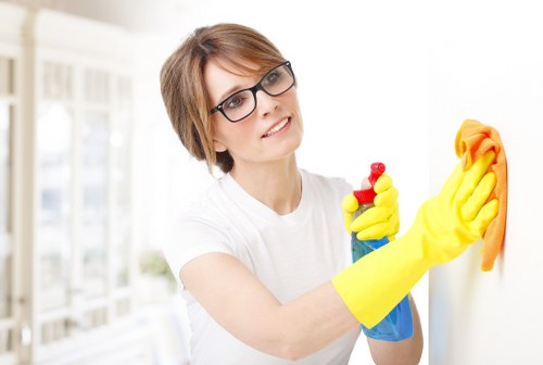 Deep rug cleaning process for home rugs