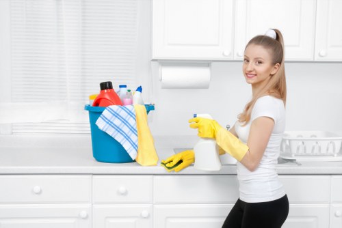 Professional deep cleaning tools used for a spotless home interior