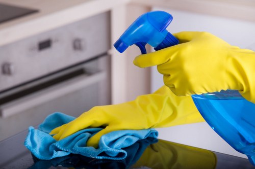Professional move in cleaning of kitchen cabinets and counters
