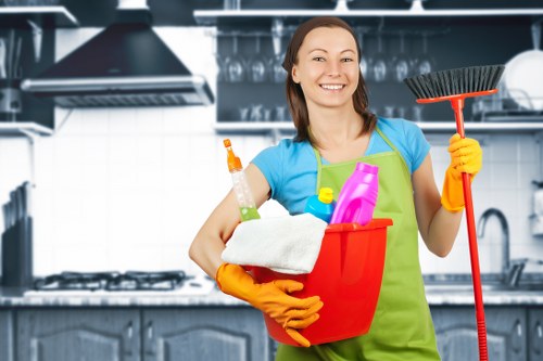 Room-by-room house cleaning in kitchen and bathroom