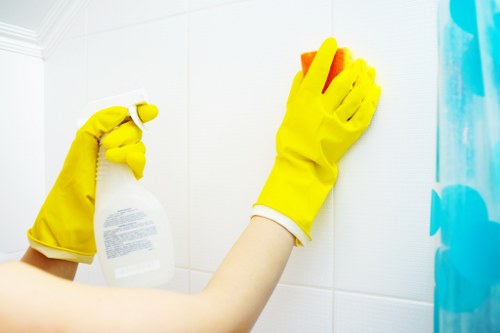 Professional house cleaning tools and products