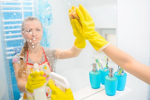 Regular cleaning supplies arranged for daily maintenance